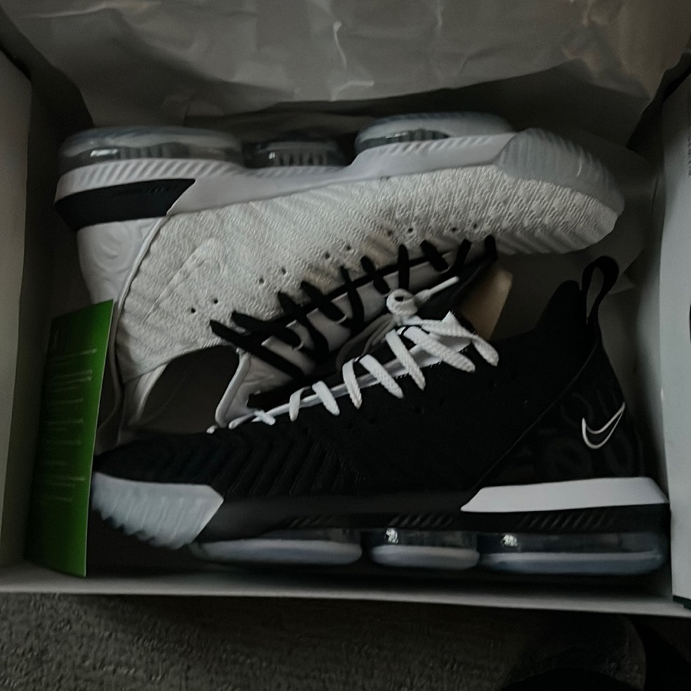 Lebron XVII-Equality shoes